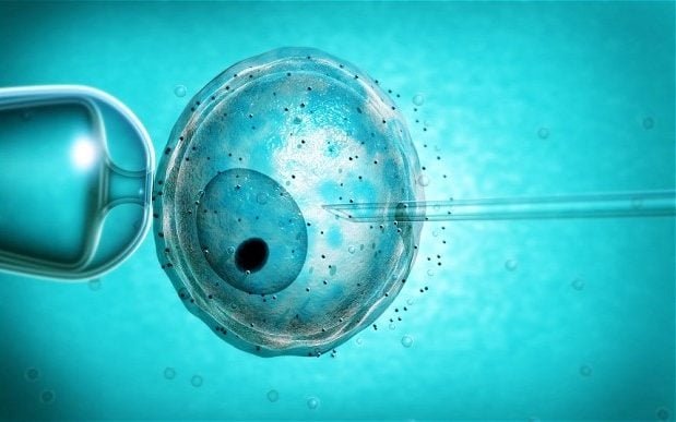 Decoding The Signs of Bad Egg Quality – A Deep Dive into Fertility