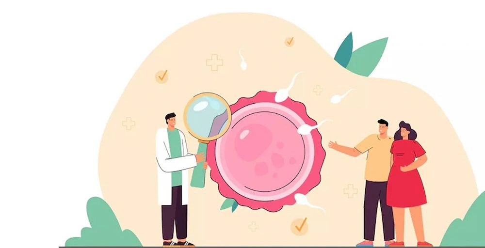 Embryo Pooling in IVF Success