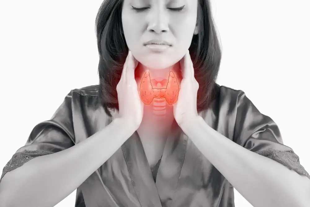 Thyroid Hormone and Infertility