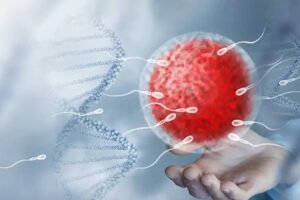 Oocyte Grading in IVF