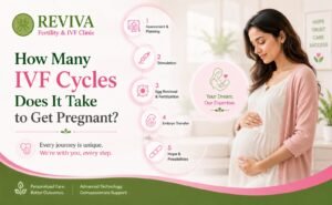 IVF Cycles Does It Take to Get Pregnant